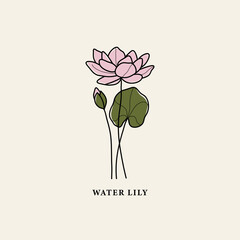 Wall Mural - Line art water lily flower drawing
