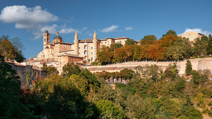 Wall Mural - View of Urbino's downtown city