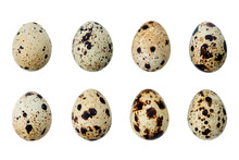 Brown Quail Egg Isolated On White Background. Full Depth Of Field. Focus Stacking. PNG