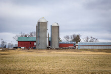 A Red Dairy Barn With Two Stave Silos And Holstien Dairy Cows With Attached Freestall Barns.