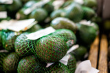 Fototapeta Na ścianę - Avocados on grocery produce store shop supermarket display, raw unripe tropical green fruit in mesh net bags