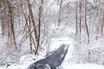 Wall Mural - Sugarland Run Stream Valley Trail footpath with view of snow covered landscape in frozen snow ice in Herndon, Northern Virginia Fairfax county and nobody