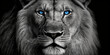 lion with blue eyes in black and white image