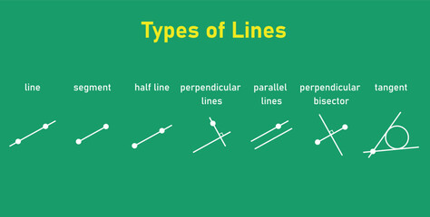 Wall Mural - Types of lines. Line,segment, half line, perpendicular lines, parallel lines, perpendicular bisector and tangent. Vector illustration isolated on chalkboard.