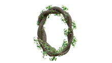 Tree Grow Or Vine In The Shape Of The English Text. Letter Font O. 3D Render.