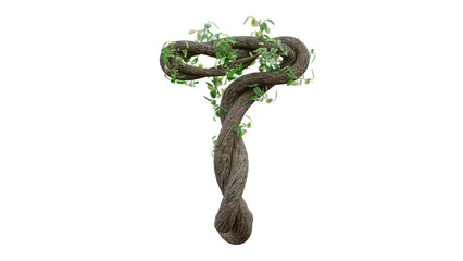 Wall Mural - Tree grow or vine in the shape of the English text. Letter font T. 3D Render.