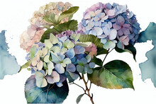 Hydrangea Flowers, Illustration, Generative AI