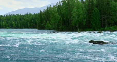 Wall Mural - Beautiful river and forest with mountain natural scenery in Xinjiang, China.