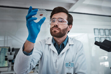 Aufkleber - Science, blood and sample with a doctor man at work in a laboratory for analysis or research. Medical, innovation and dna with a male scientist working in a lab for development or breakthrough