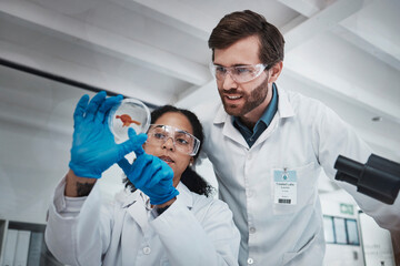 Aufkleber - Science, analysis and scientists with a blood sample in a lab for research, dna test and healthcare. Medical, innovation and man and woman looking at a red chemical for analytics and experiment