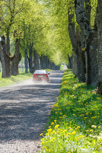 Car Driving On A Dusty Road With Green Lush Treeline