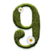 Spring Grass Flower numbers and symbols with realistic grass texture and white flower. This is a part of a set which also includes uppercase and lowercase letters, shapes, and frames.