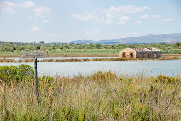 Wall Mural - Vendicari Nature Reserve wildlife oasis