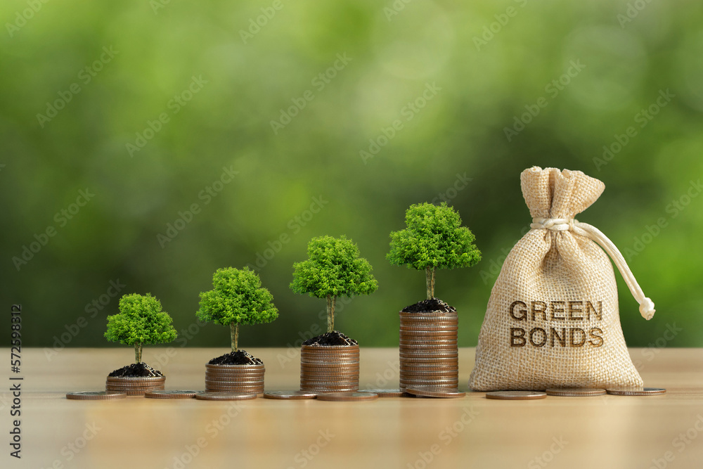 The tree grows on a pile of coins and a money bag in the word green Bonds with green background. Investment on bonds concept. Raising funds to fund environmentally friendly projects.Green bonds.