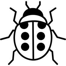 Fly Insect Vector Icon Fully Editable

