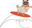 © IrynaPakhomova - Funny animal character surfing pug summer vacation on a beach