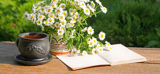 Wall Mural - Natural background with chamomile flowers