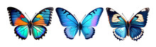 A Set Of Three Very Beautiful Blue Butterflies With Color Transitions Isolated On A Transparent Background. AI Generated.