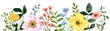 Wildflowers border features painted watercolor summer plants, and green grasses—colorful flowers and herbs on white background. Botanical illustration.
