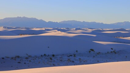 Wall Mural - Sunny view of the landscape of White Sands National Park