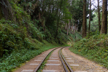 Sticker - Alishan Forest Railway in Taiwan