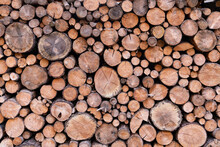 Wood Logs Stacked Background Flat With Natural Light For Background
