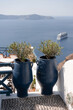 white terrace with blue pots with olives trees  on Sentorini, Greek resort Thira, Greece, Europe. Traveling concept background. Summer vacation