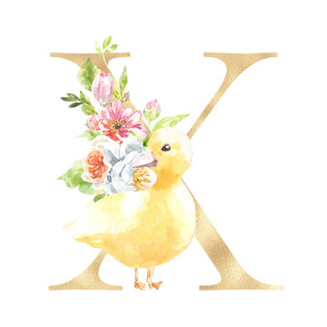Watercolor Easter floral alphabet, cute duck spring letter X, flower bouquet illustration with peony, roses, spring greenery. Botanical monogram initials wedding stationery card, save the date, rsvp