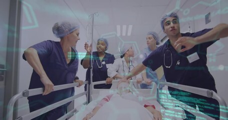 Canvas Print - Animation of medical data over diverse female and male doctors pushing patient in hospital bed