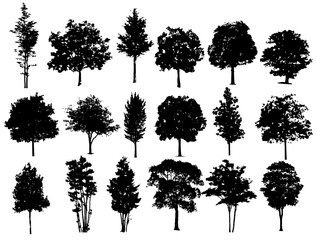 Vector illustration of tree silhouette is perfect for landscape design