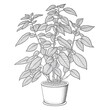 Peppermint plant one line drawing created with AI