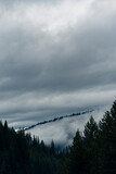 Fototapeta Na ścianę - Dark & Foggy Pine Forest Mountains with Moody Cloudy Sky 
