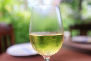 white wine tasting, chilled ice wine in a cold glass in summer