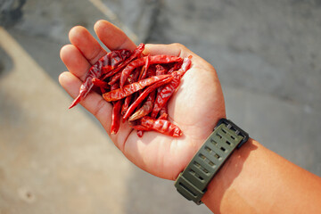 Wall Mural - Dried red chili