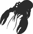 Lobster hand drawing on white background.png file.