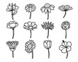 Flower side view hand drawn doodles drawing vector illustration including a rose, sunflower, morning glory, hibiscus, etc.
