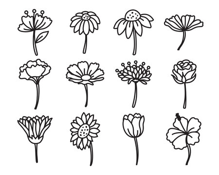 Fototapete - Flower side view hand drawn doodles drawing vector illustration including a rose, sunflower, morning glory, hibiscus, etc.
