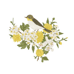 Wall Mural - Willow warbler on a branch isolated on a transparent background. Spring blooming hawthorn and bird. Vintage illustration. Yellow and green. Can be used for invitations, greeting, wedding card.