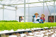 © CandyRetriever  - Happy Asian woman and senior man farmer working together in organic hydroponic system salad farm. Modern vegetable garden owner using digital tablet inspect lettuce vegetable in greenhouse garden.