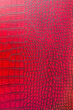 © Cavan Images - Close up of red alligator leather