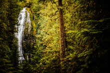 Proxy Falls From The Loop Trail.