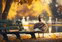A Lone Duck In A Fall Park, A Meditative Abstract Scene Generative AI