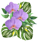 Fototapeta Storczyk - Bouquet of tropical flowers. Orchids. Paradise flowers. exotic, tropic