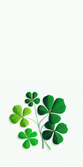 Canvas Print - Green Clover Plant On White Background And Copy Space. St. Patrick's Day Concept.