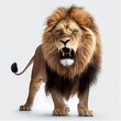 Lion with open mouth isolated on white background. Generative AI