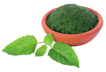 Poster - Medicinal holy basil with ground paste