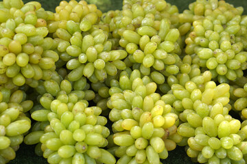 Sticker - green grapes background in the market