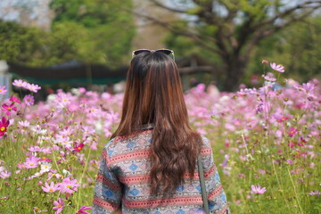 Poster - Happy Asian woman in cosmos flower garden