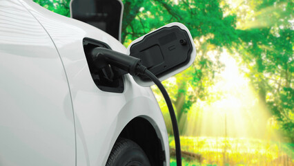 Progressive campaign to increase environmental awareness of electric car powered by renewable and clean energy from charging station in the green forest. EV car for future automobile.