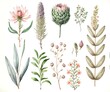 botany watercolor flower set for beautiful greeting cards generative ai